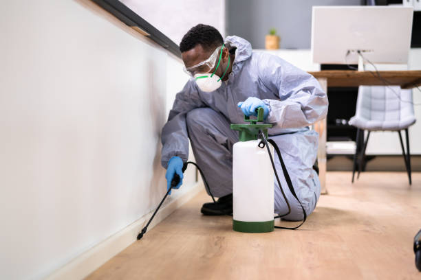 Best Real Estate Pest Inspections  in Paradise, NV